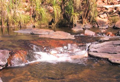 Rapids along Bell Creek Rapids along Bell Creek