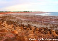 Evening at Riddell Beach Evening at Riddell Beach