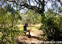 Observing birds on a nature trail at the observatory.