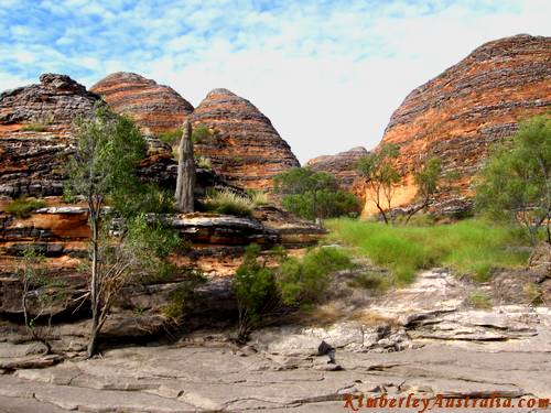 Termite mound amongst Bungle Bungles domes Termite mound amongst Bungle Bungles domes