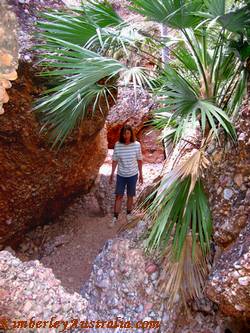 Hiking in Mini Palms Gorge Hiking in Mini Palms Gorge