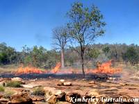 Bushfire Bushfire