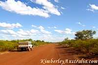 Acacias blooming along the road. Acacias blooming along the road.
