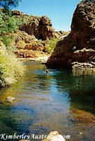 Harry's Hole Harry's Hole