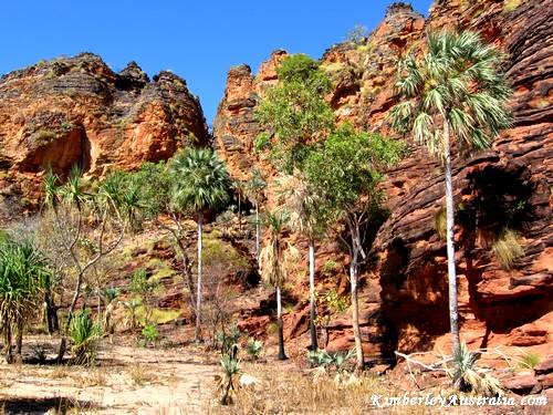 Typical Kimberley Country: Red Rocks and Palm Trees Typical Kimberley Country: Red Rocks and Palm Trees