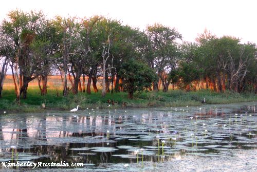 Evening at Parry Lagoons Nature Reserve Evening at Parry Lagoons Nature Reserve