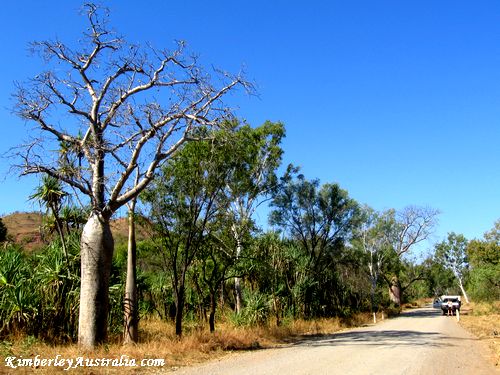 The old highway to Wyndham The old highway to Wyndham