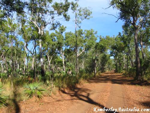 The Mitchell Plateau Track The Mitchell Plateau Track