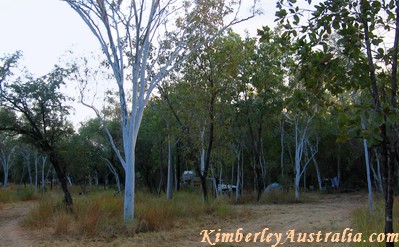 The campground at Mornington The campground at Mornington