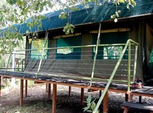 DeLuxe Tent DeLuxe Tent