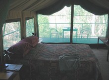 Comfort in the wilderness. Comfort in the wilderness.