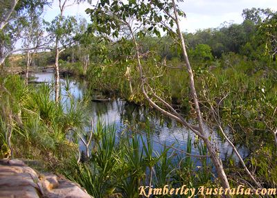 The Barnett River The Barnett River