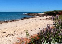 Quandong Beach Quandong Beach