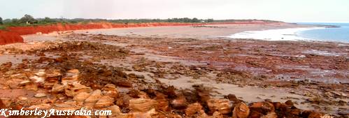 Riddell Beach on a cloudy day Riddell Beach on a cloudy day