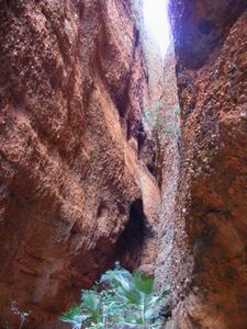 Echidna Chasm