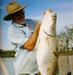 Barramundi