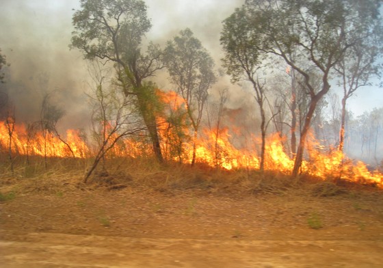 Bushfire