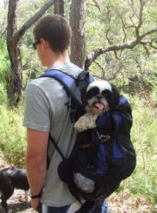 Hiking with Roxy (who keeps up with her Border Collie friend most of the day!)