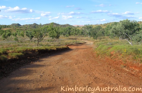 Road into Purnululu