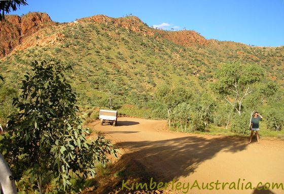 Purnululu National Park access track