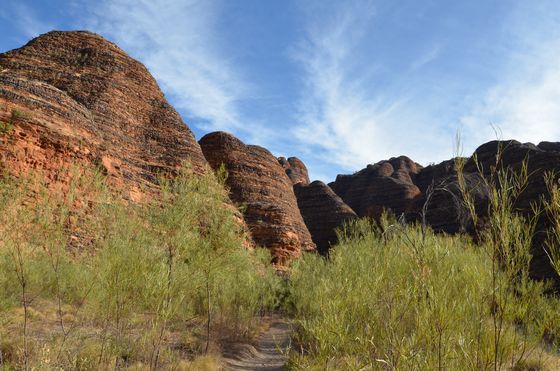 Walking towards some Bungles domes