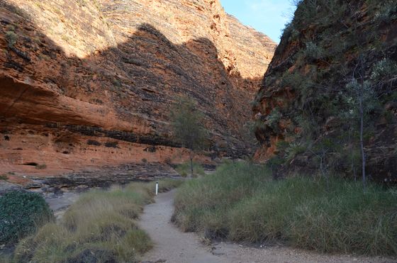 Walking between the domes of the Bungles