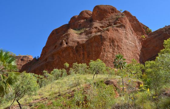 Purnululu View