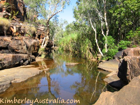 A creek on Charnley River Station