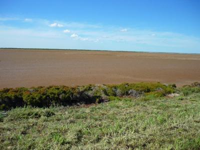 Mudflats to nowhere, tide out