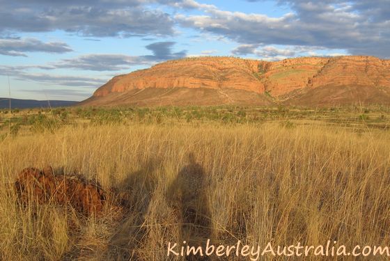 View on the track to Dimond Gorge