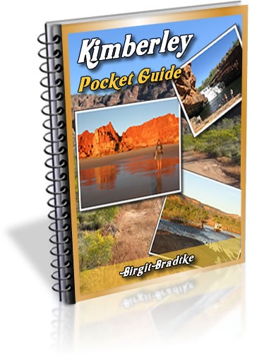 self drive tours kimberley