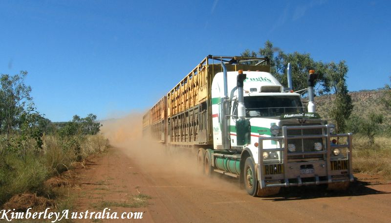 Road train hurtling along the Gibb