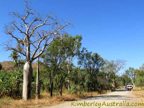 Old highway to Wyndham