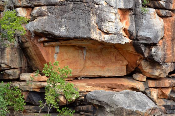 Rock art above the pool