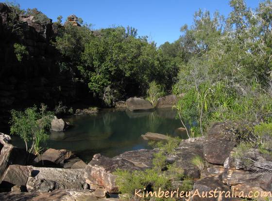 Rock pool on the way to Mitchell Falls