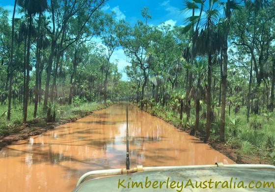 Mitchell Plateau Track in the wet season