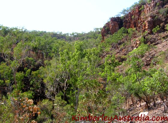 Annie Creek Gorge