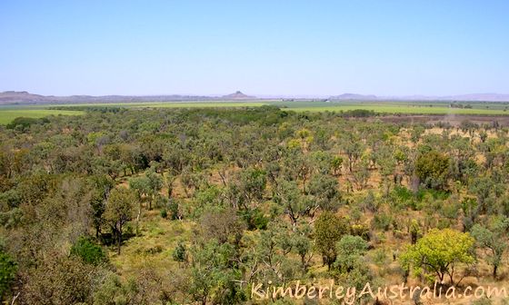 Approaching Kununurra