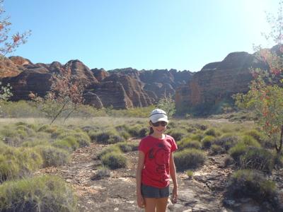 The Amazing Bungle Bungles