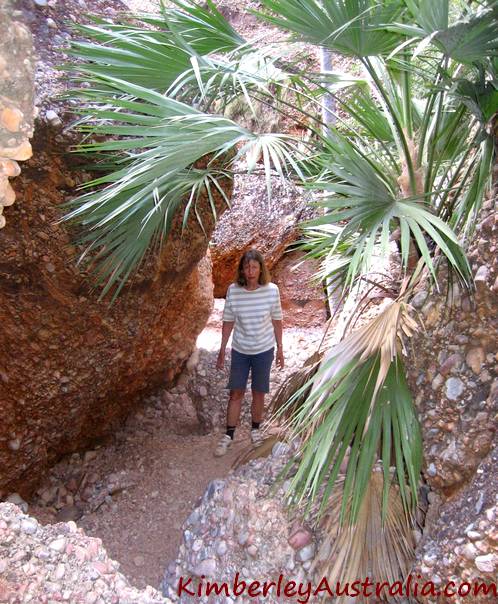 Between the boulders of Mini Palms Gorge