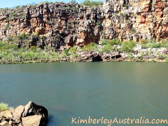 The inviting view of the Mitchell River from our lunch place.