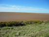 Mudflats to nowhere, tide out