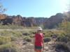 The Amazing Bungle Bungles