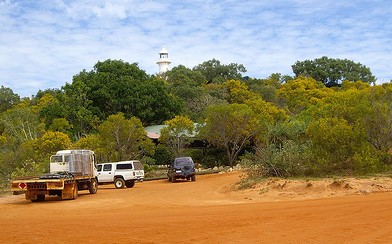 Flowering Acacias at Cape Leveque