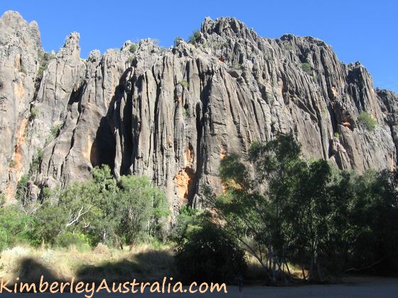 The impressive rock wall of Windjana Gorge