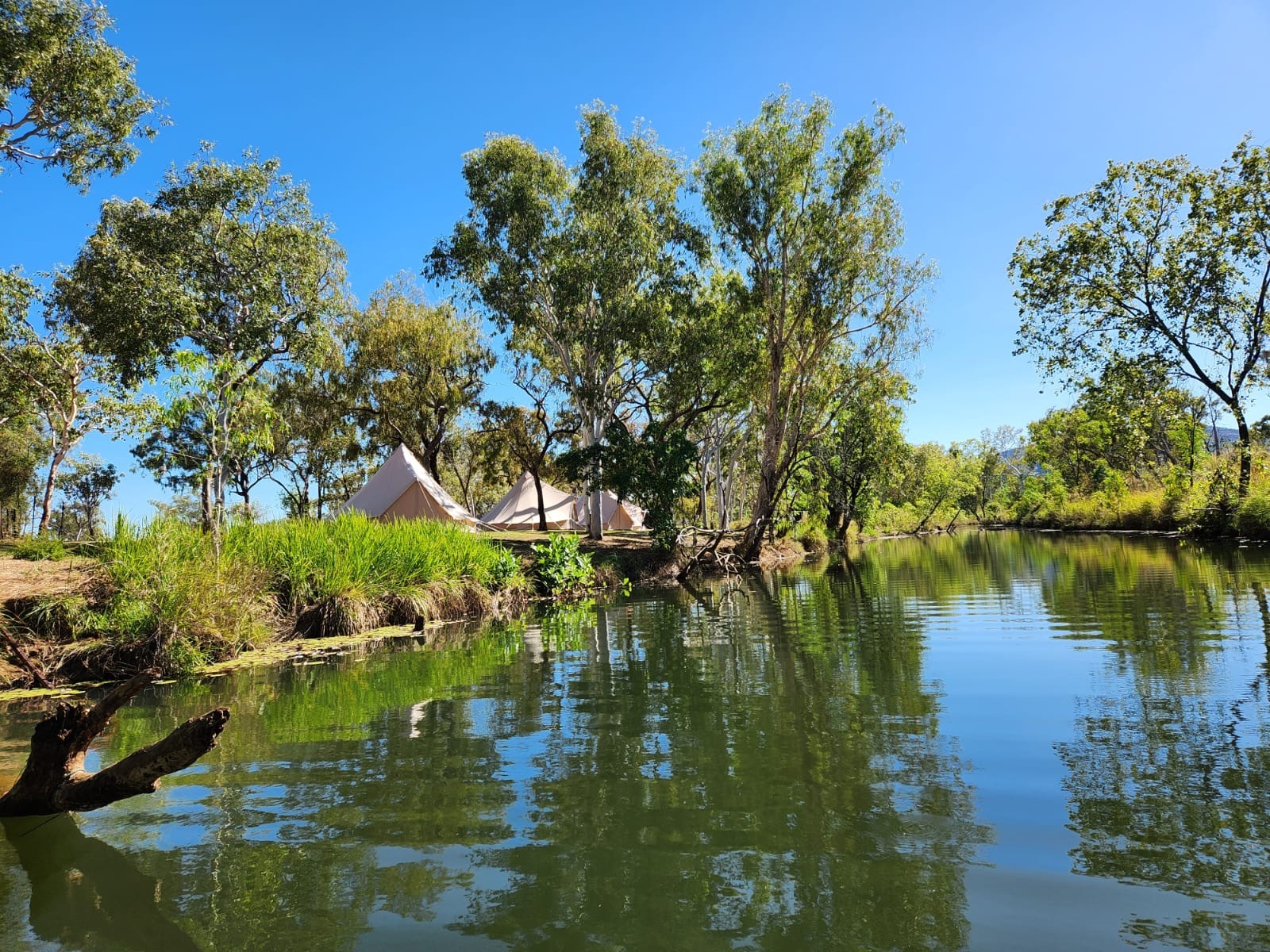 Mount Hart Riverside Glamping