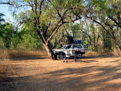 Palm rise campground in Bell Gorge