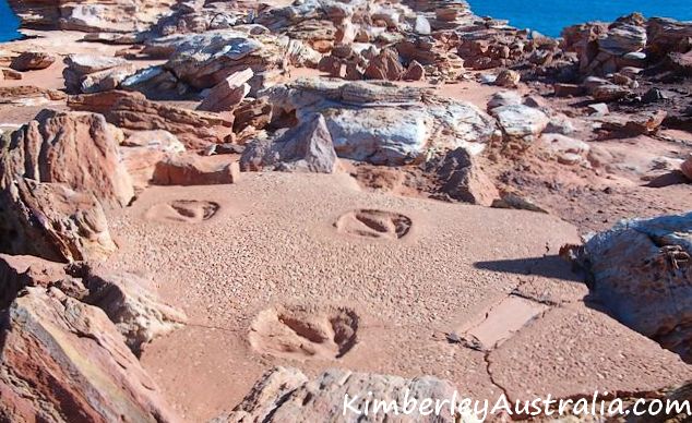 Dinosaur footprints in Broome