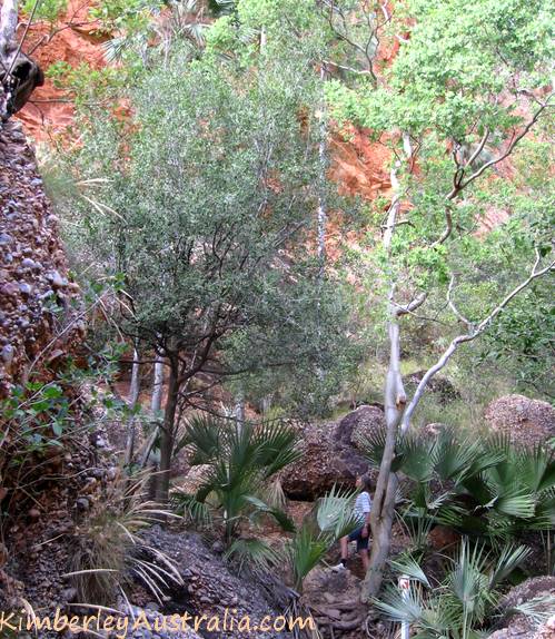 Hiking in Mini Palms Gorge