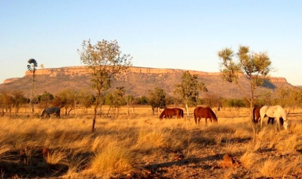 Morning at Digger's Rest